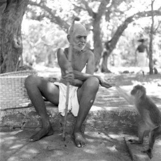 ramana_maharshi_monkey_devotee